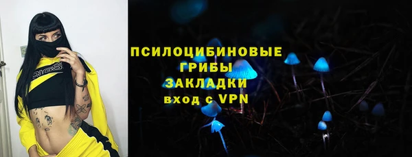 2c-b Коряжма