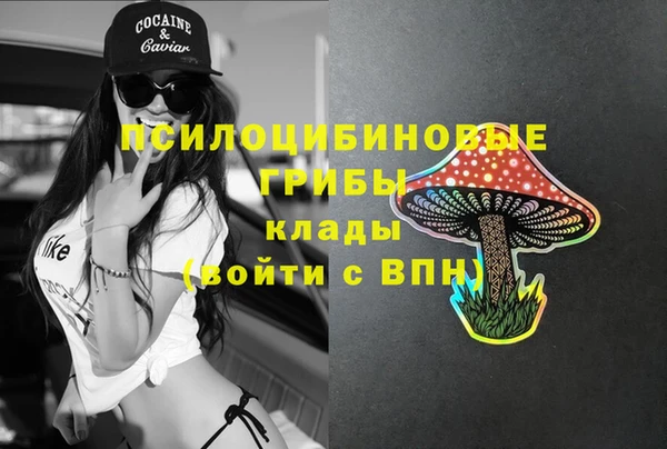 2c-b Коряжма