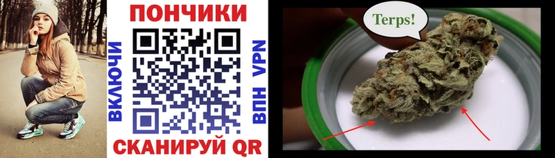Бошки марихуана гибрид  Купить закладки  Ишимбай 
